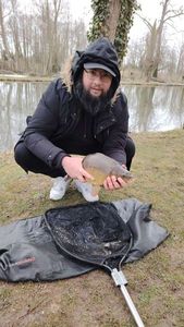 Mirror Carp