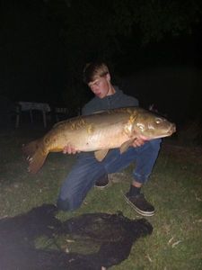 Mirror Carp