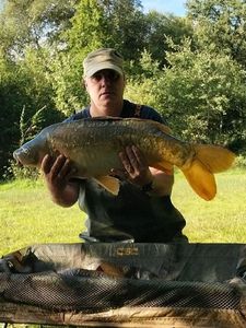 Mirror Carp