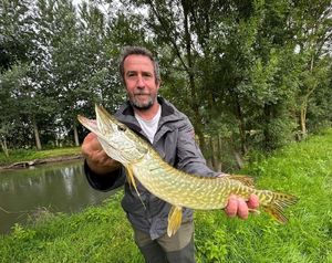 Northern Pike