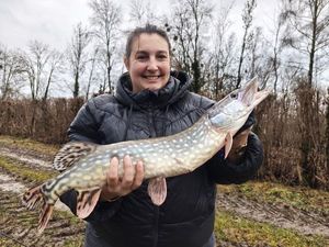 Northern Pike