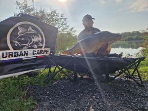 Leather Carp