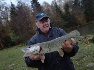 Northern Pike