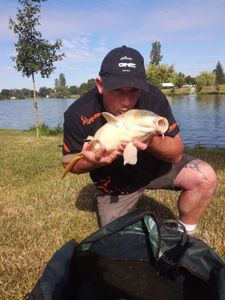 Mirror Carp