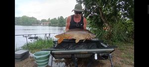 Mirror Carp