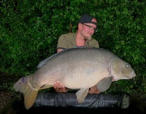 Mirror Carp