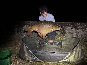 Mirror Carp