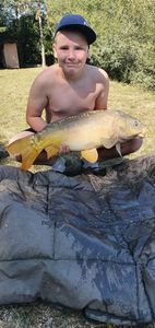 Common Carp