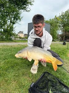 Leather Carp