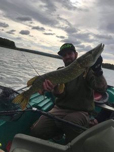 Northern Pike