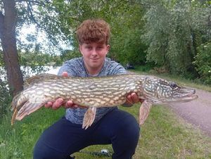 Northern Pike