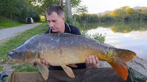 Mirror Carp
