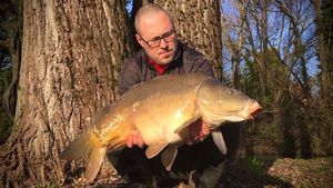 Mirror Carp