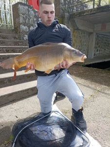 Leather Carp