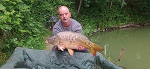 Mirror Carp