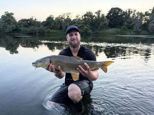 Barbel