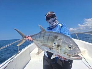 Pacific Crevalle Jack