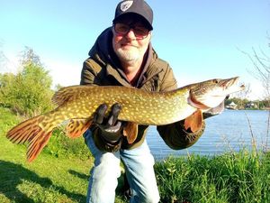 Northern Pike