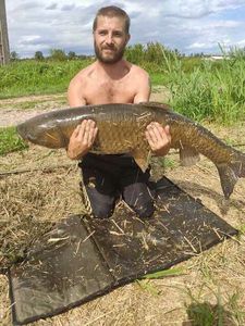 Grass Carp