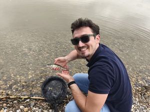 Zander