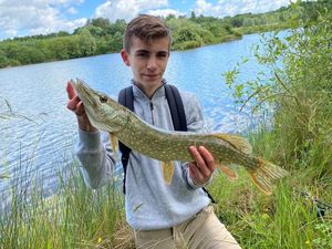 Northern Pike
