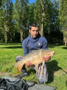 Mirror Carp