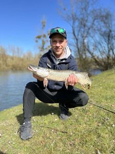 Northern Pike