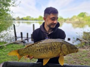 Mirror Carp