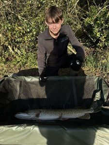 Northern Pike
