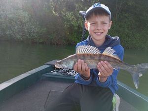 Zander