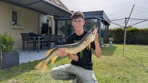 Northern Pike