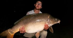 Mirror Carp