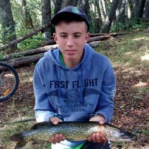 Northern Pike