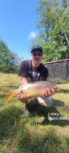 Mirror Carp