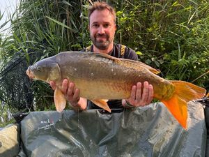 Mirror Carp