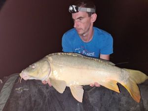 Mirror Carp