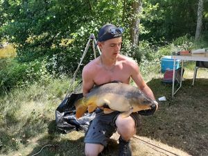 Mirror Carp