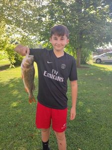 European Perch