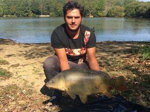 Mirror Carp