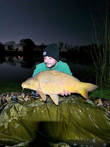 Mirror Carp