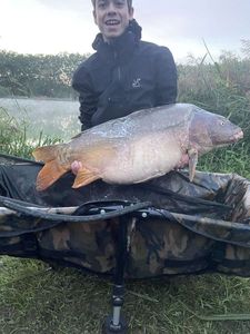 Mirror Carp