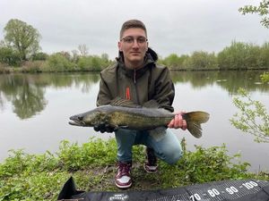 Zander