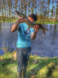 Northern Pike