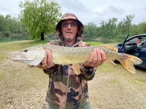 Northern Pike