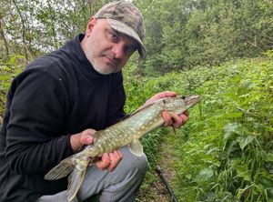 Northern Pike