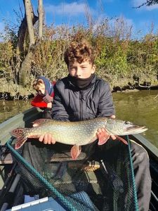 Northern Pike