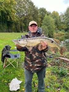 Northern Pike