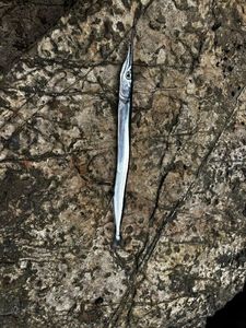 Garfish