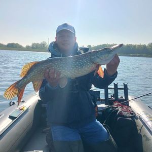 Northern Pike