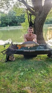 Mirror Carp
